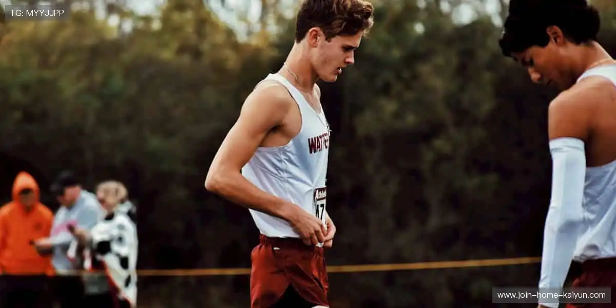 🎉 冠军之路,与你同在,